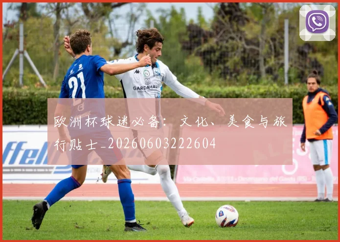 欧洲杯球迷必备：文化、美食与旅行贴士_20260603222604
